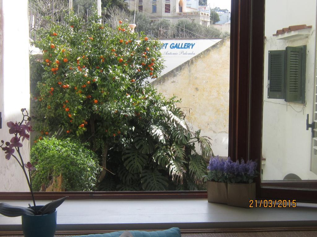 Villa Apollo B&B Capri Habitación foto